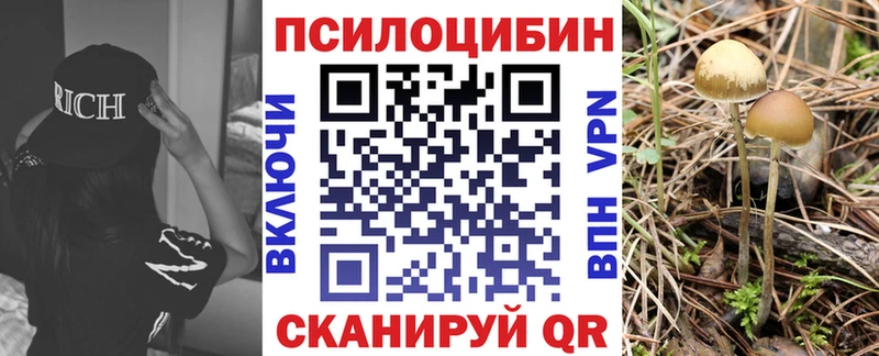 hydra сайт  Каменногорск  Псилоцибиновые грибы мицелий 
